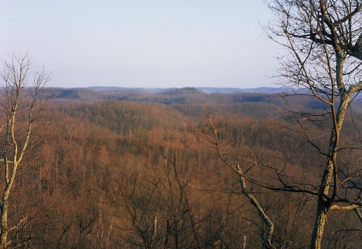 Sheltowee Trace sunset